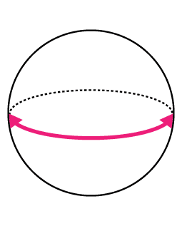 �߼��� Ⱦʬ + ��Ȥ� = �ޤ���